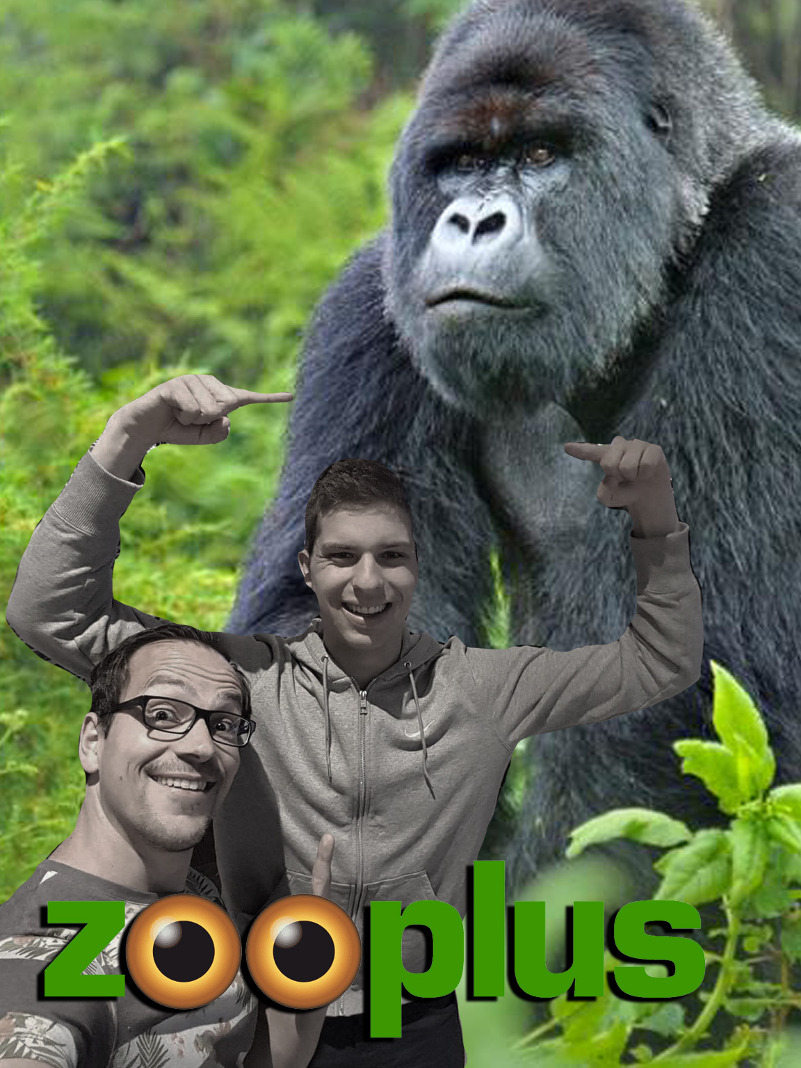 Aktien mit Kopf - Investieren für Privatanleger