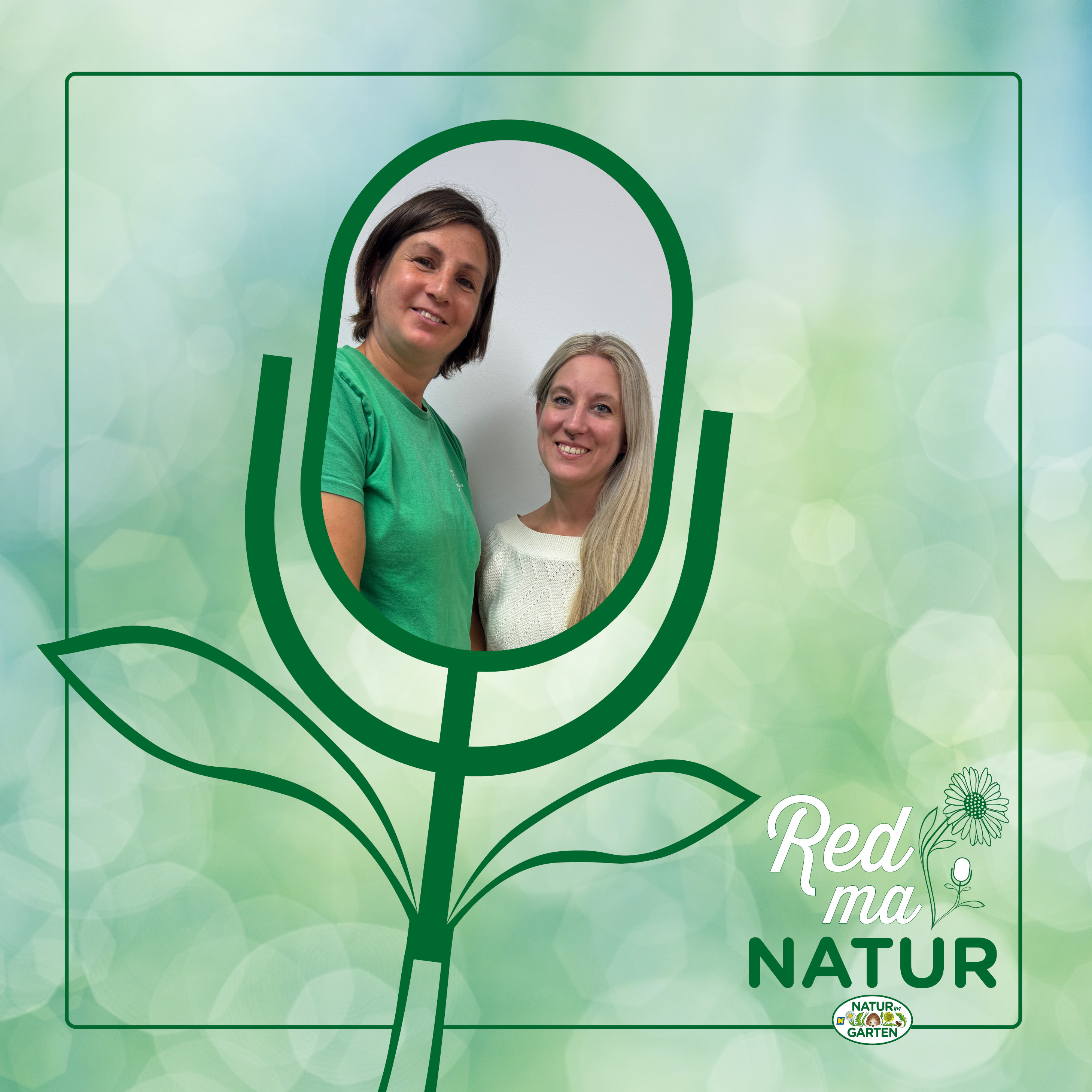 Pilze – erkennen, sammeln & kultivieren