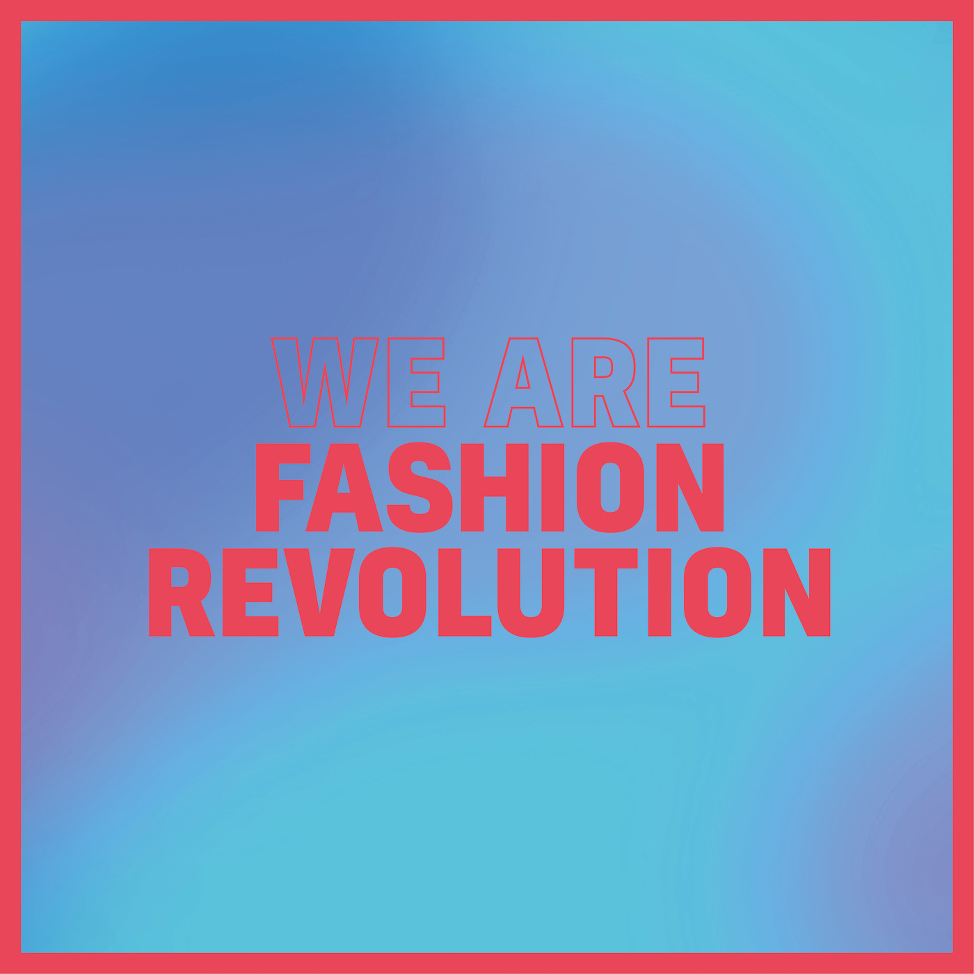 Greenwashing oder echt nachhaltig? Avocadostore-Chefin Mimi Sewalski über die Qual der Label-Wahl