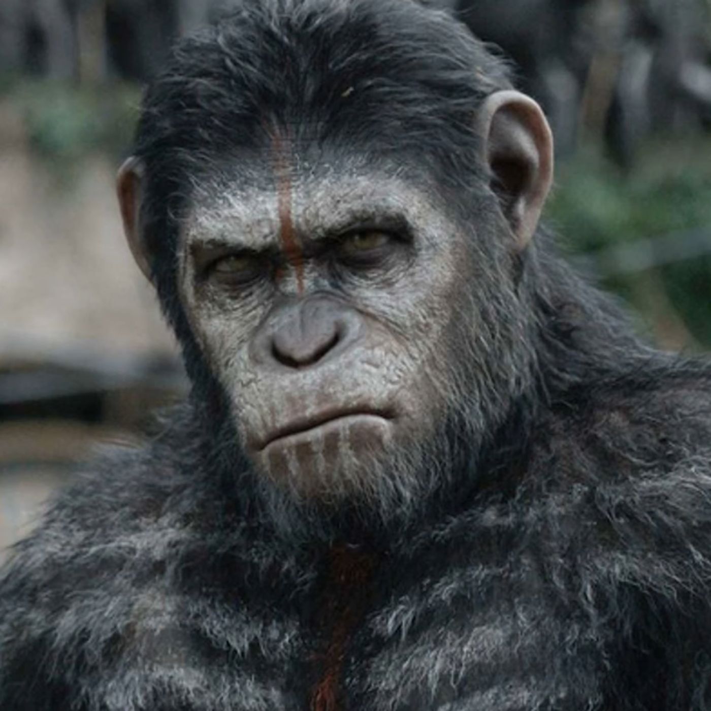 039 Moviekompott - Affen und Menschen 039 Moviekompott - Affen und Menschen