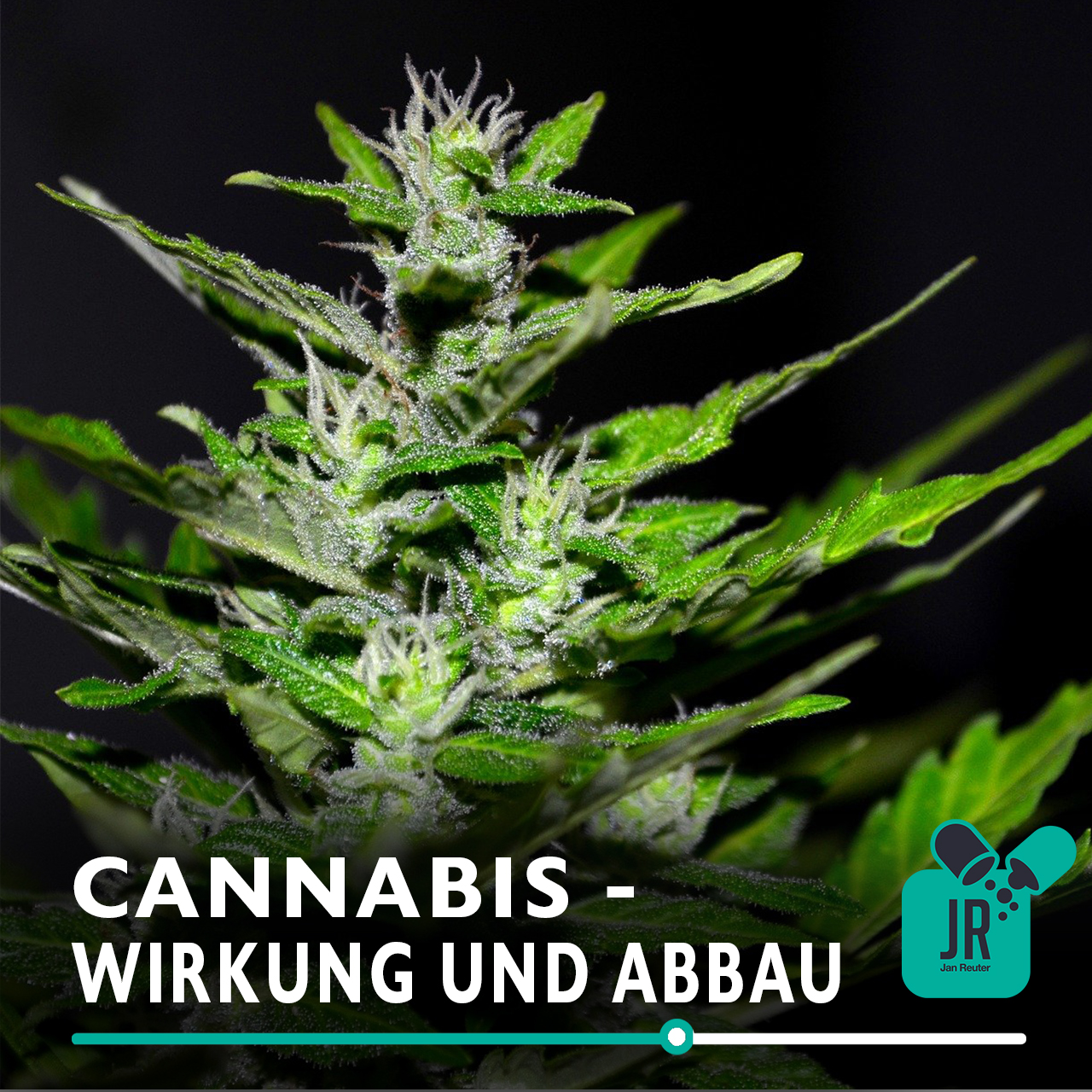 #REVOLUTIONPHARMACY - Der Gesundheitspodcast