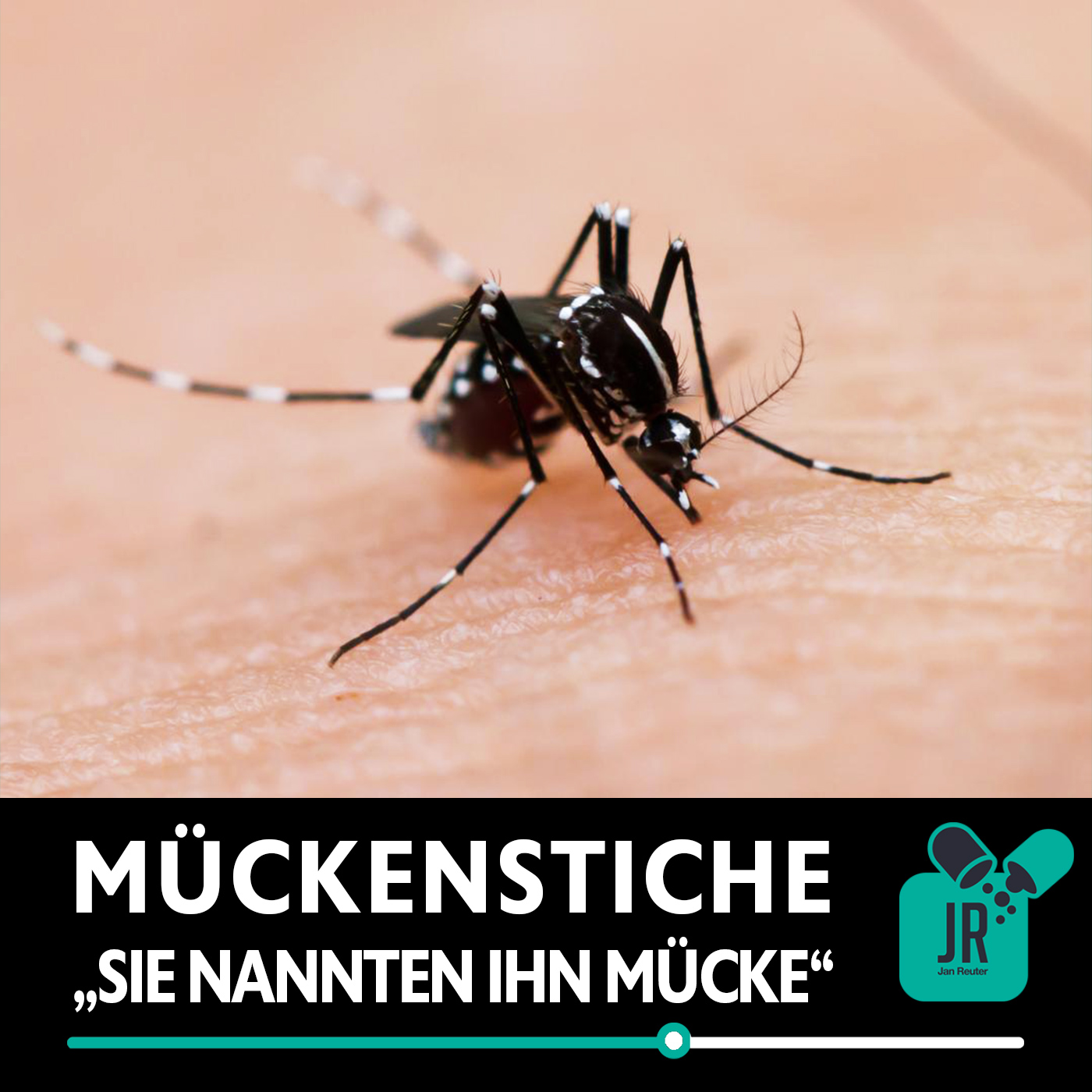 Sie nannten ihn Mücke - MÜCKENSTICHE behandeln episode artwork