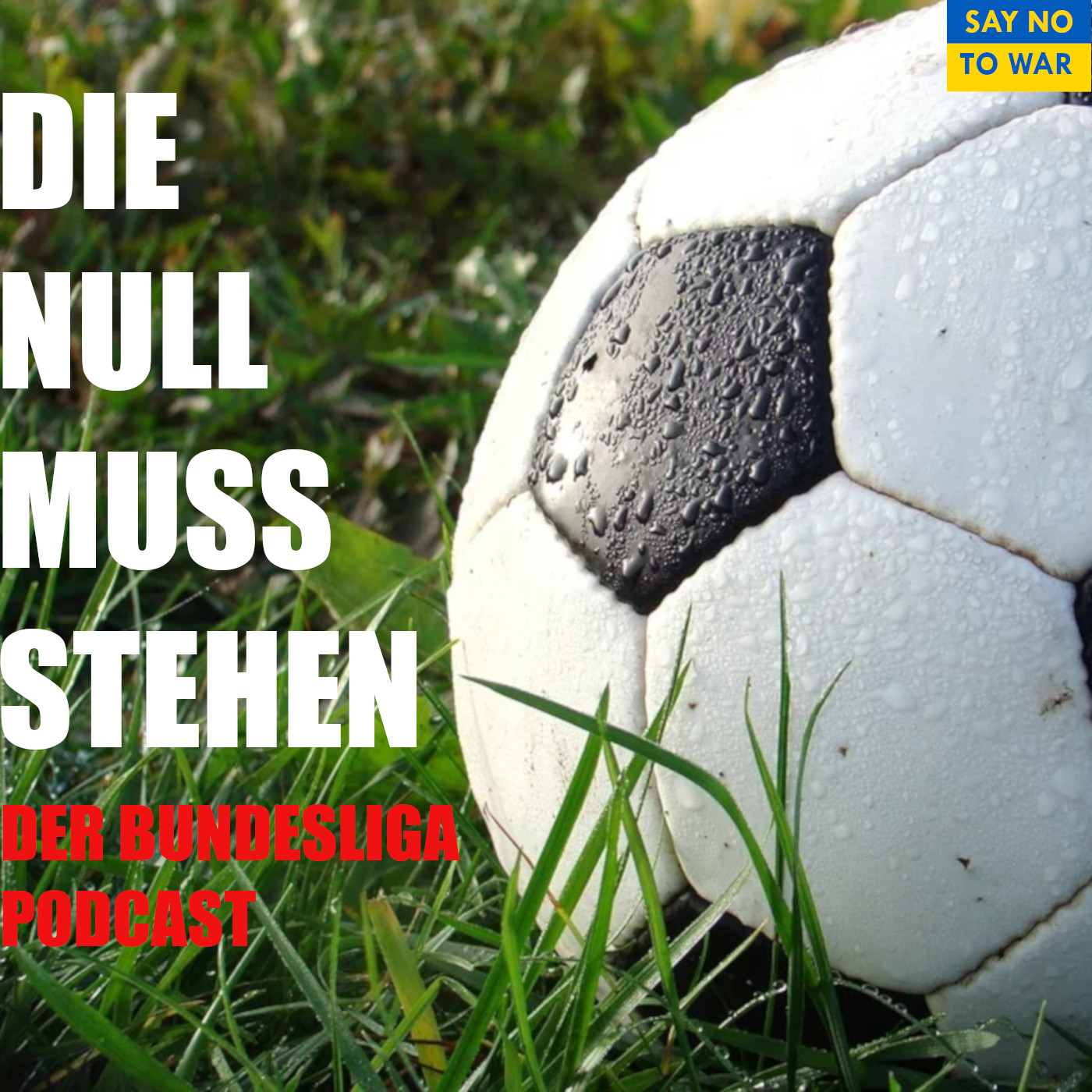 Die Null muss stehen - Der Bundesliga Podcast