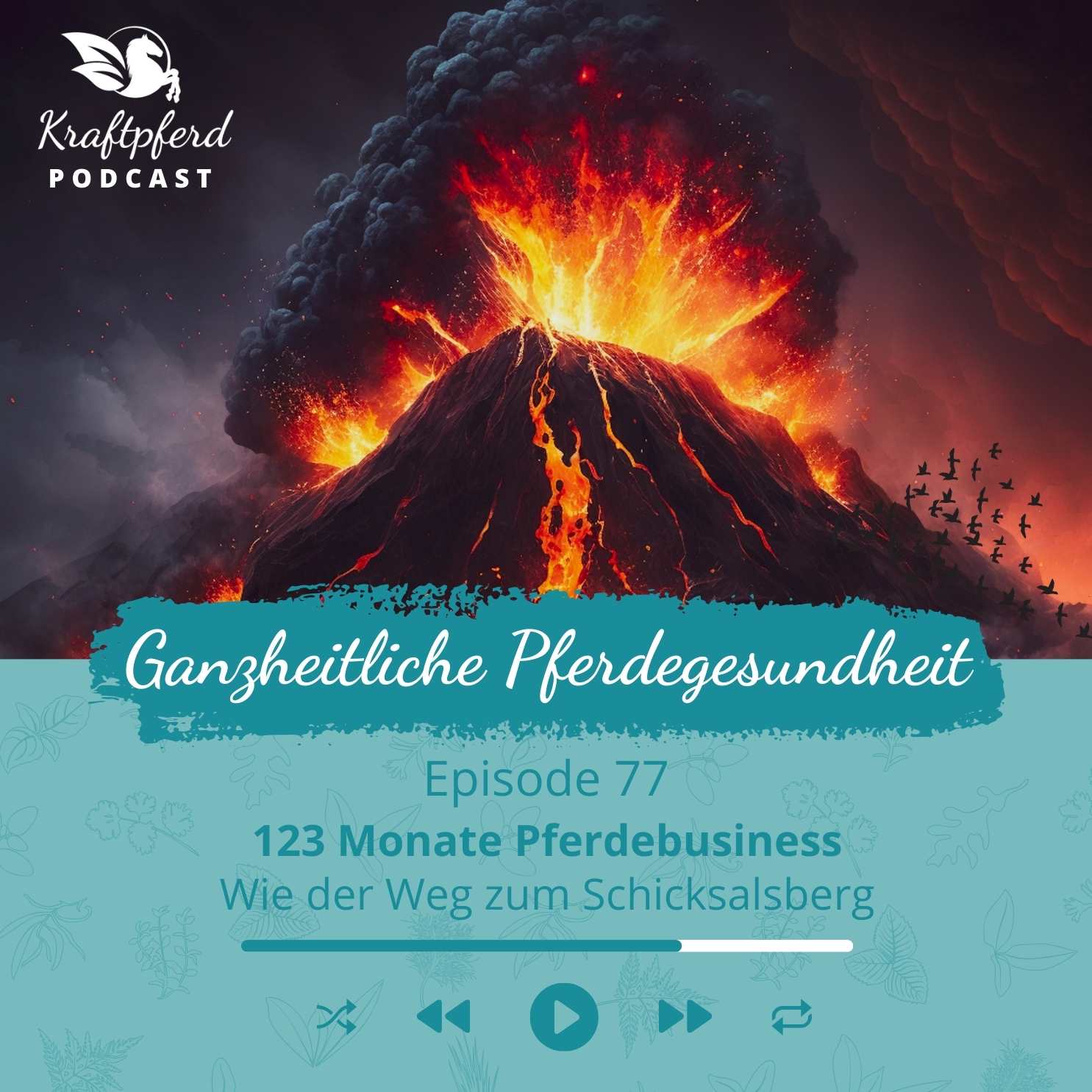 #77 - 123 Monate Pferdebusiness - Wie der Weg zum Schicksalsberg