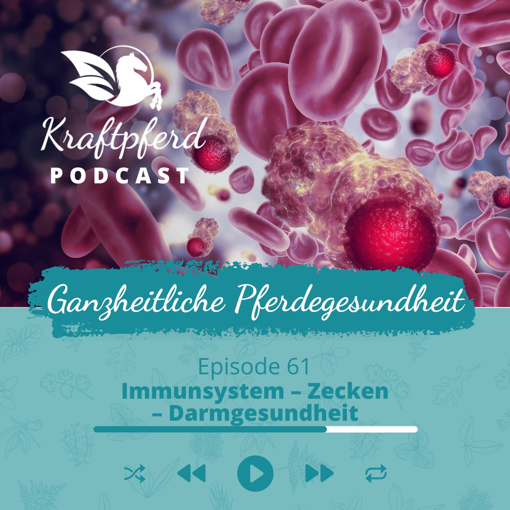 #61 Immunsystem - Zecken - Darmgesundheit