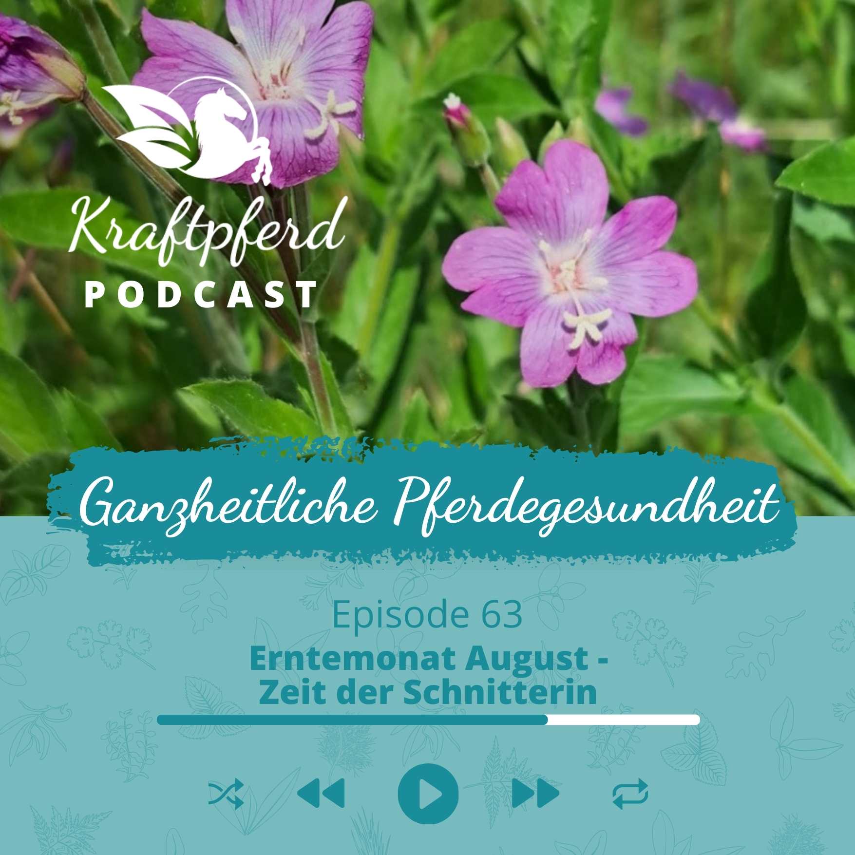 #63 Erntemonat August - Zeit der Schnitterin