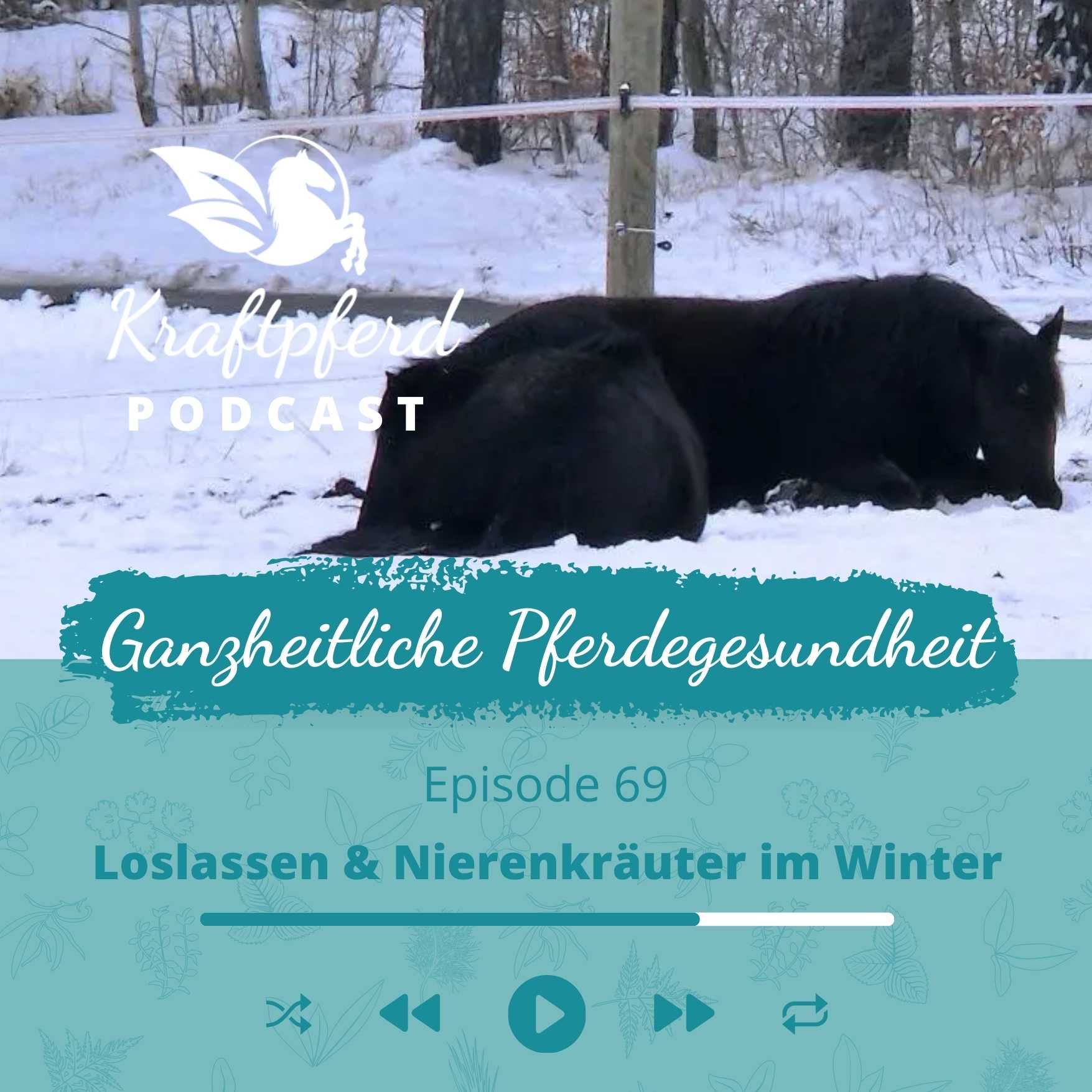 #69 Loslassen & Nierenkräuter im Winter