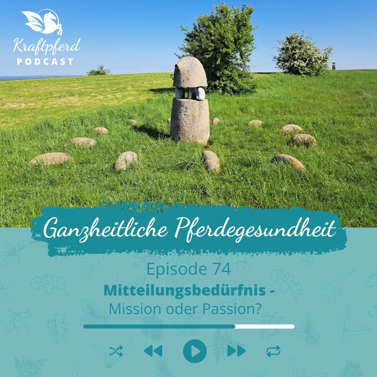 #74 - Mitteilungsbedürfnis als Mission oder aus Passion?