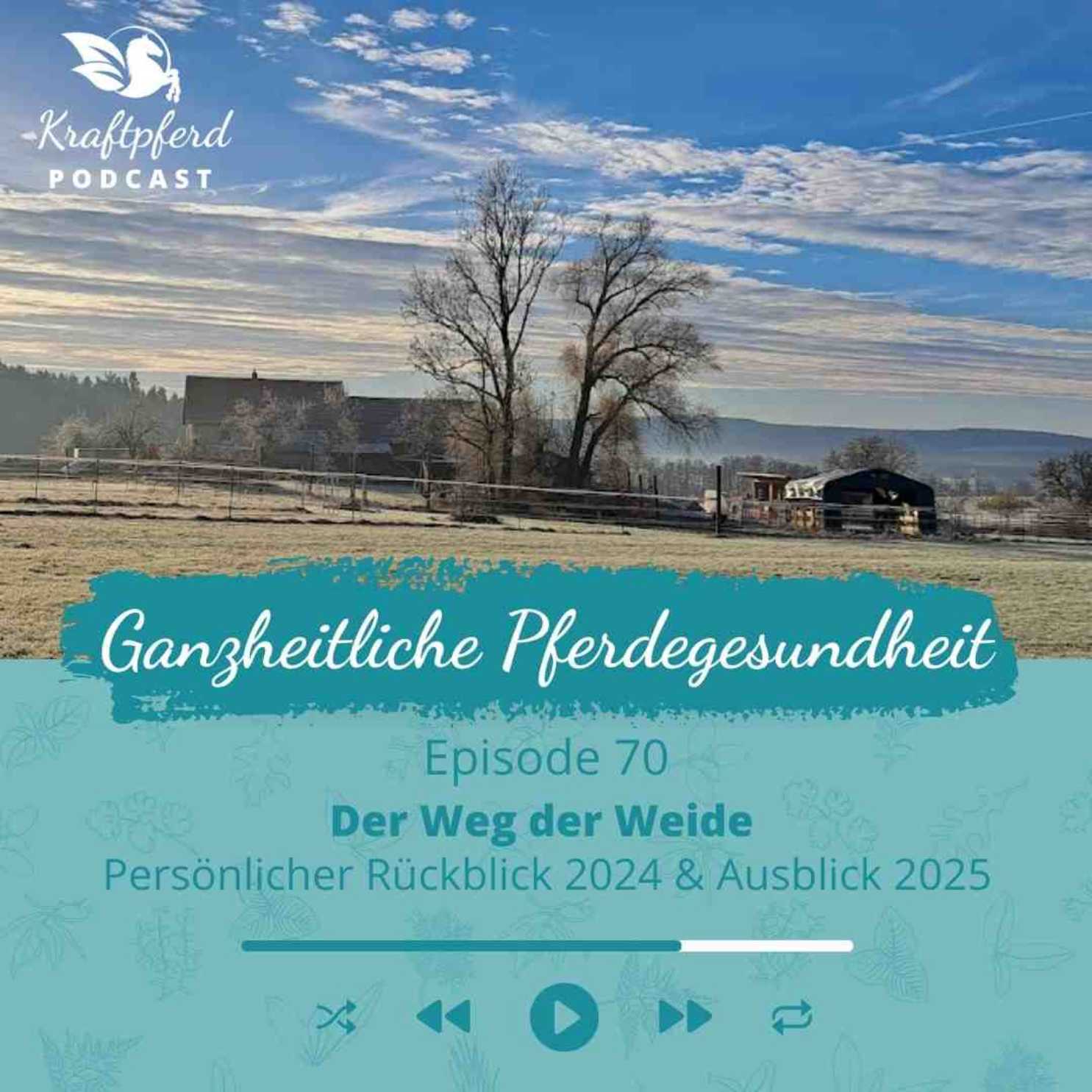 #70 Der Weg der Weide - Persönlicher Rückblick 2024 & Ausblick 2025