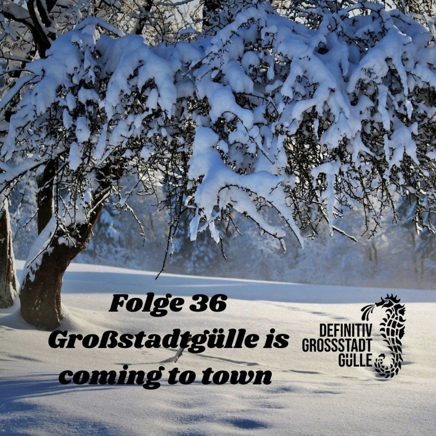 Großstadtgülle is coming to town episode artwork